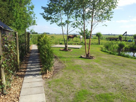 gras gezaaid
